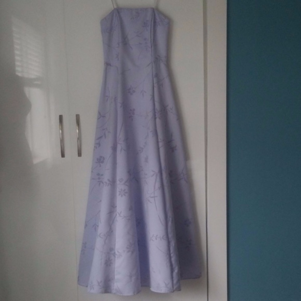 Cache Gorgeous Full Length Party/Prom Dress